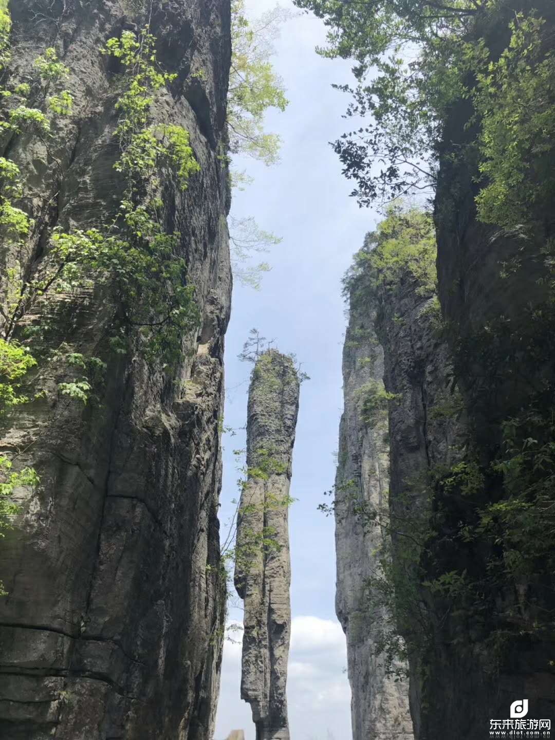 【情系湖北】武當(dāng)山/神農(nóng)架自然保護(hù)區(qū)/神農(nóng)頂/天生橋/梭布埡石林/恩施大峽谷全景/土家女兒城/騰龍洞/獅子關(guān)2飛8日