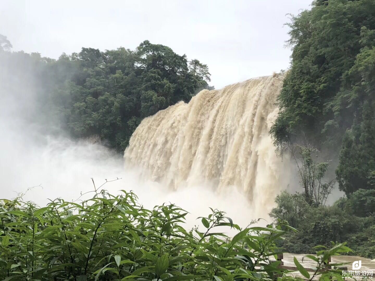 【我想去梵凈山】貴州、荔波小七孔、黃果樹(shù)瀑布、西江千戶(hù)苗寨、梵凈山雙飛六日游