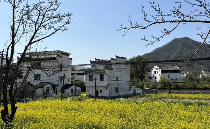 【悅色江西】登廬山、三清山、篁嶺梯田花海、觀仙俠望仙谷夜景、賞演出遇見婺源、夜宿婺女洲雙飛6日 